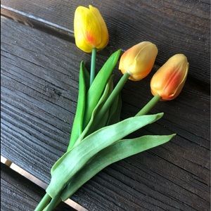 Decorative tulips